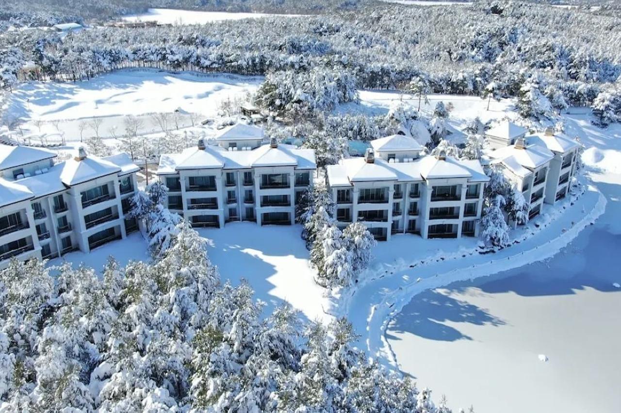 Pineridge Sokcho Exterior foto